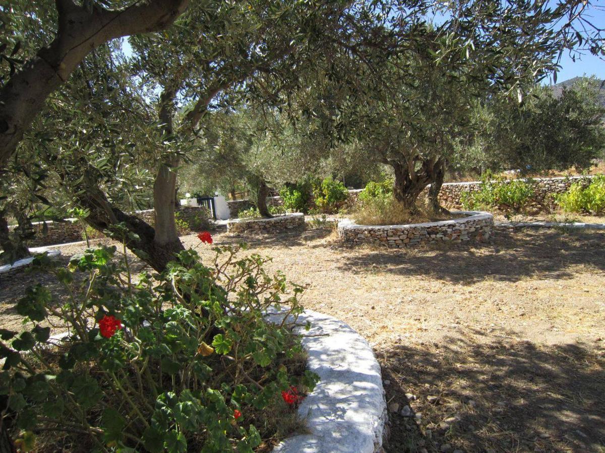 Elisso Villas Platis Gialos  Bagian luar foto