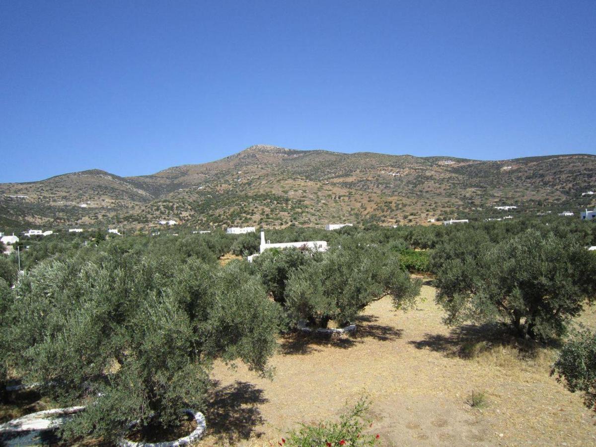 Elisso Villas Platis Gialos  Bagian luar foto