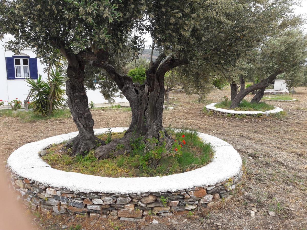 Elisso Villas Platis Gialos  Bagian luar foto