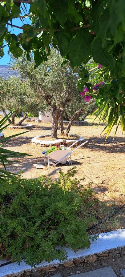 Elisso Villas Platis Gialos  Bagian luar foto