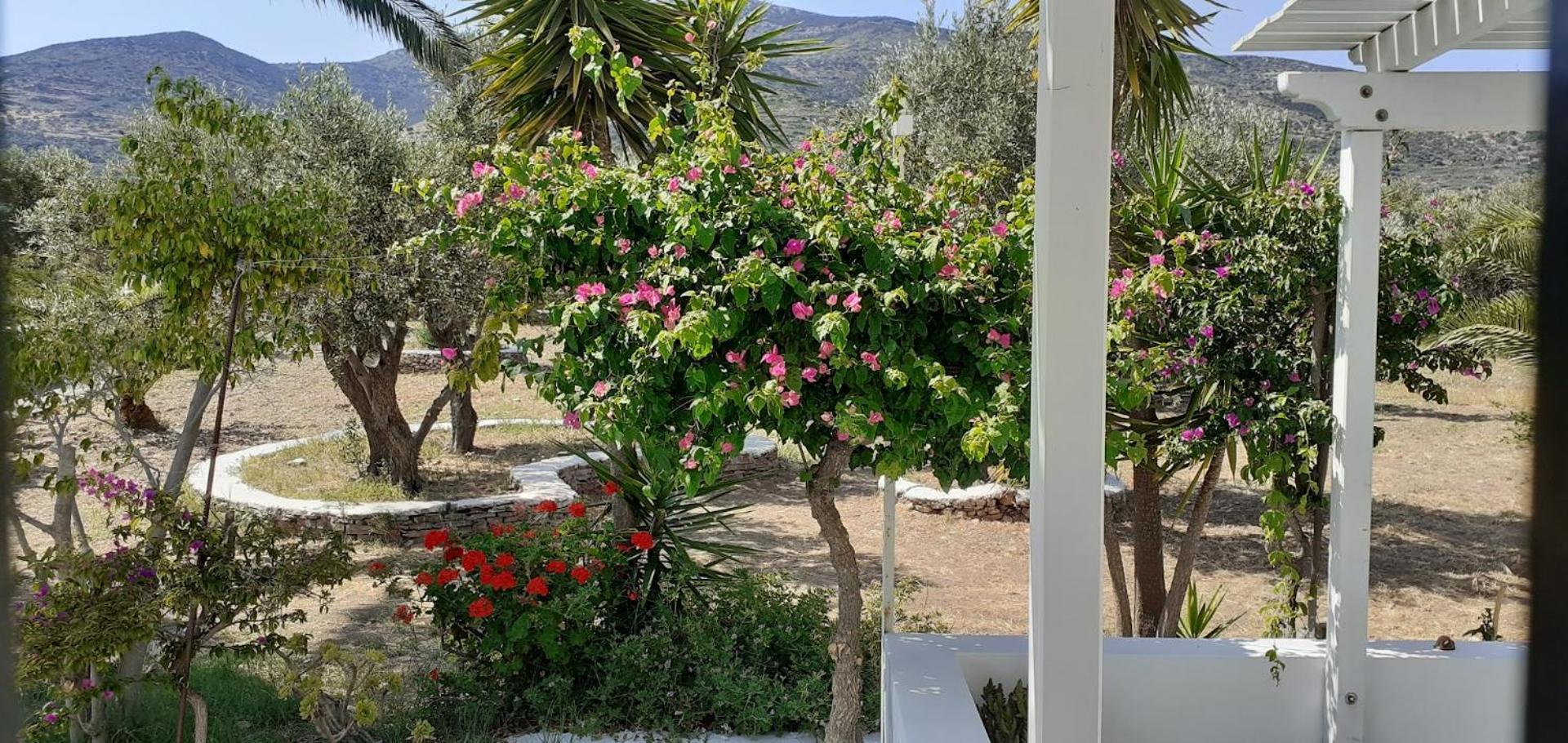 Elisso Villas Platis Gialos  Bagian luar foto