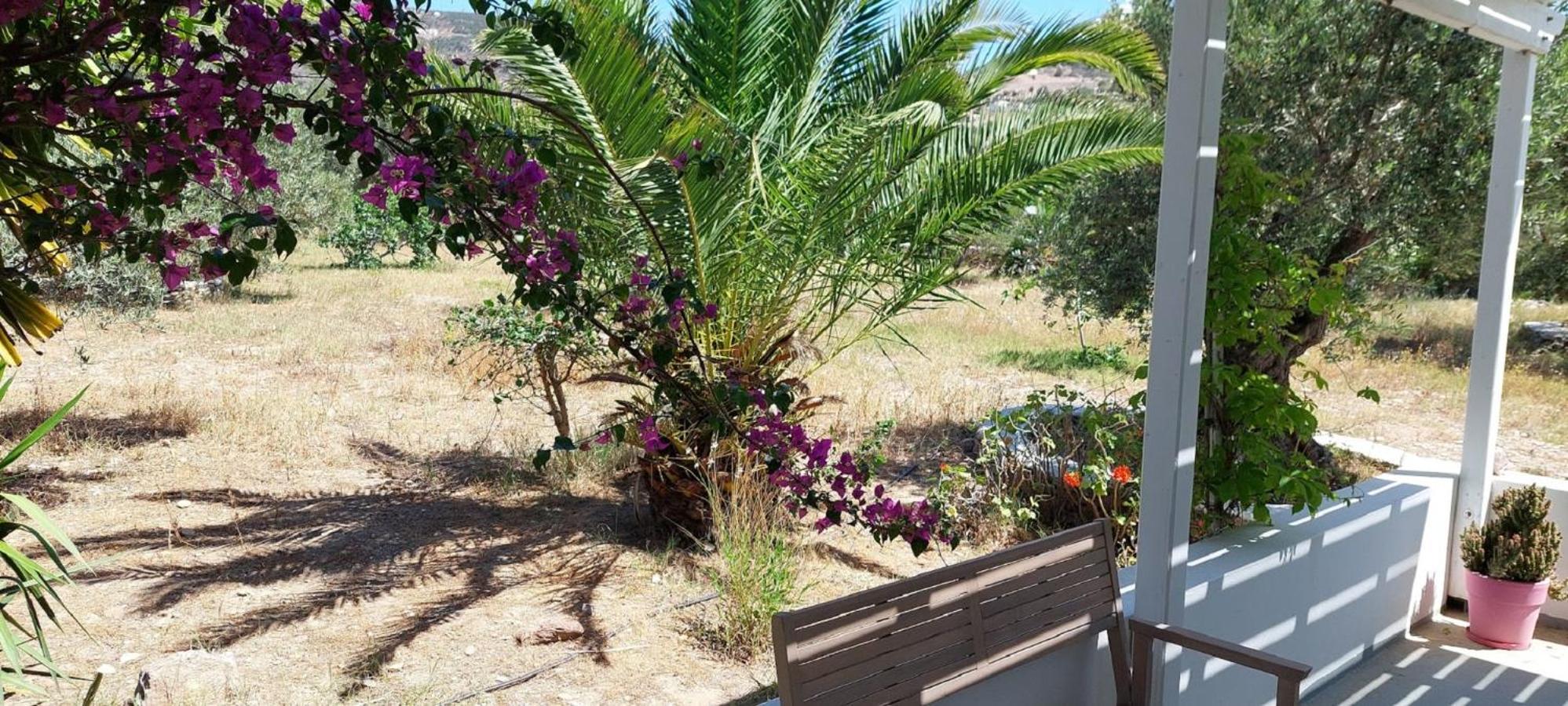 Elisso Villas Platis Gialos  Bagian luar foto