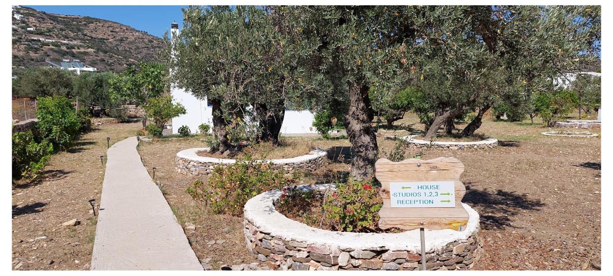 Elisso Villas Platis Gialos  Bagian luar foto